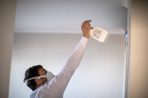 Best Fast Mold Removal  in Hotchkiss, CO