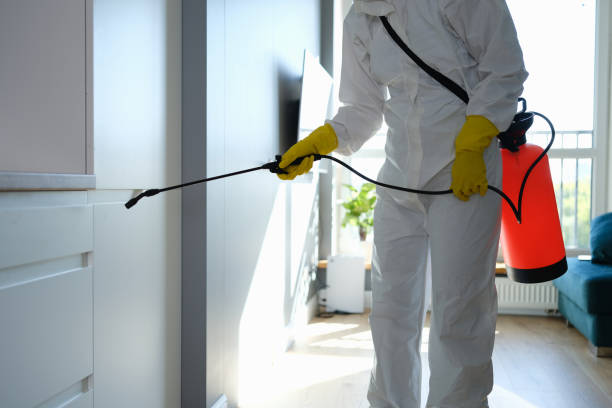 Best Local Mold Removal Service  in Hotchkiss, CO