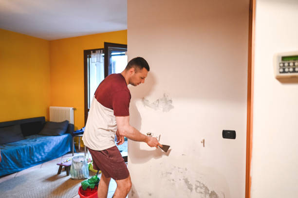 Best Mold Remediation Experts  in Hotchkiss, CO